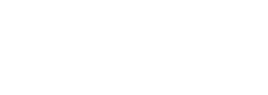 The View Logo White